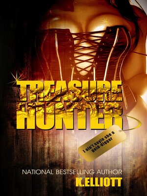 cover image of Treasure Hunter